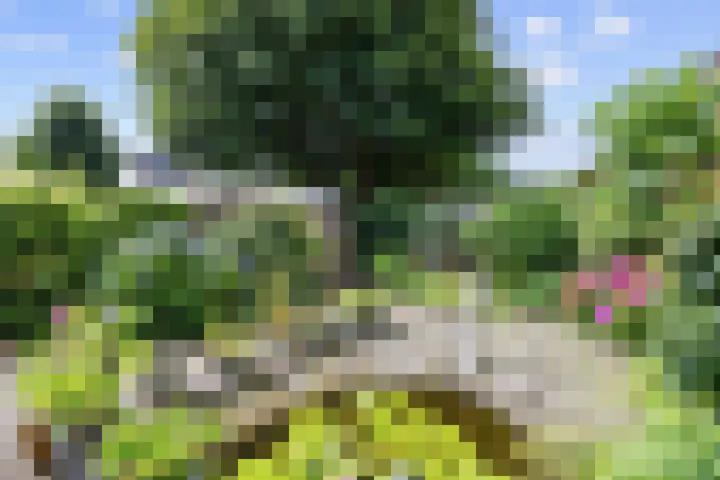 Het Want 101 Groningen thumbnail 39