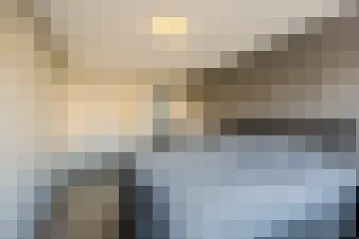 het Want 11 Hellevoetsluis thumbnail 13
