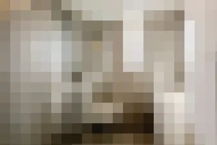 het Want 11 Hellevoetsluis thumbnail 18