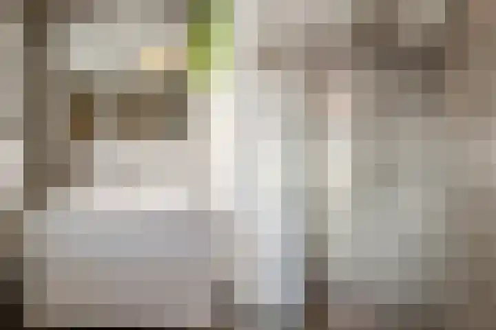 het Want 11 Hellevoetsluis thumbnail 19