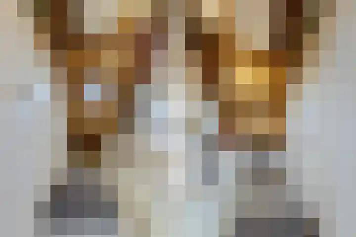 het Want 11 Hellevoetsluis thumbnail 21