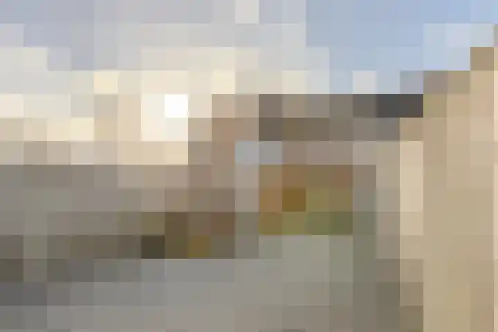 het Want 11 Hellevoetsluis thumbnail 28