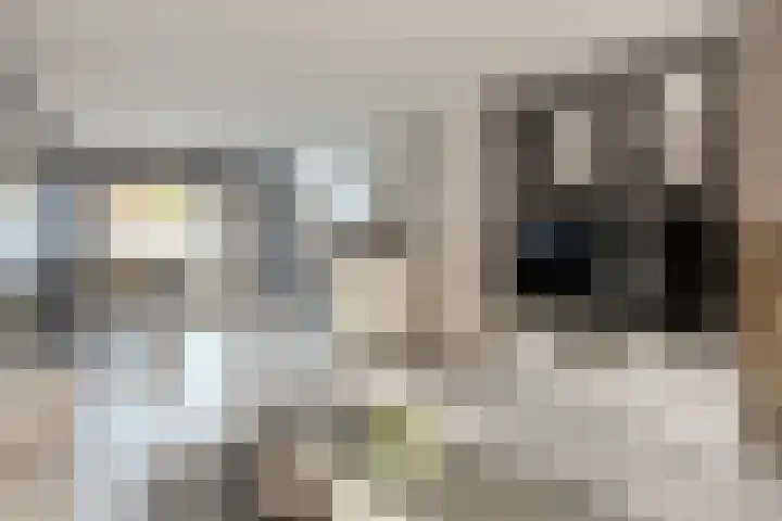 het Want 11 Hellevoetsluis thumbnail 5