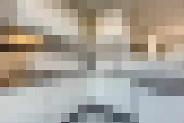 het Want 11 Hellevoetsluis thumbnail 8