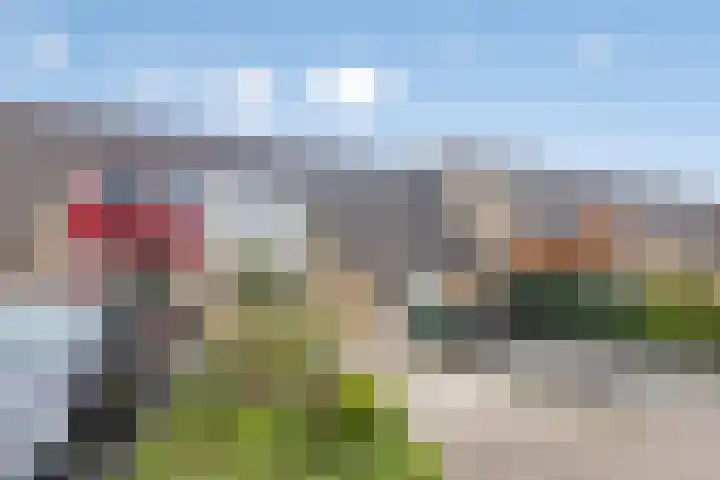 Het Want 113 in Groningen