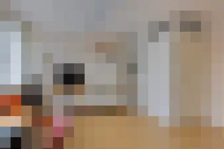 Het Want 113 Groningen thumbnail 20