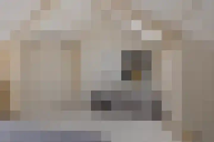 Het Want 113 Groningen thumbnail 23