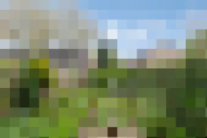 Het Want 113 Groningen thumbnail 25