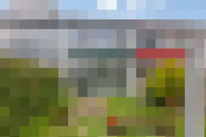 Het Want 113 Groningen thumbnail 26