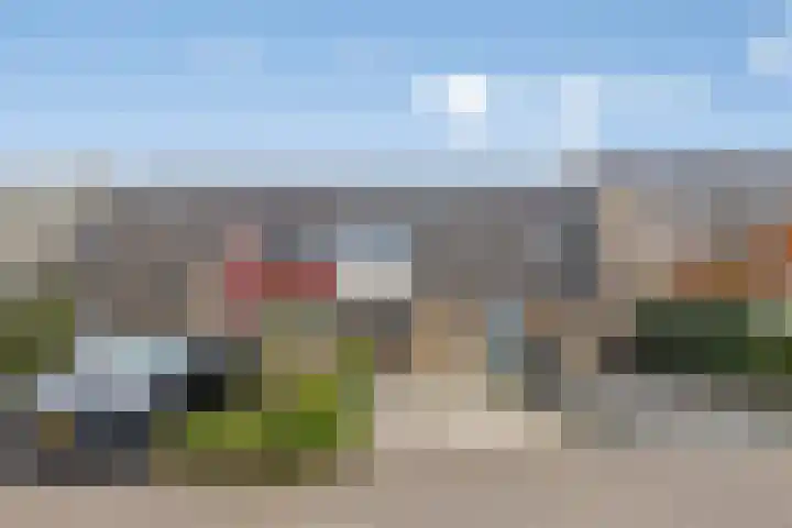 Het Want 113 Groningen thumbnail 5