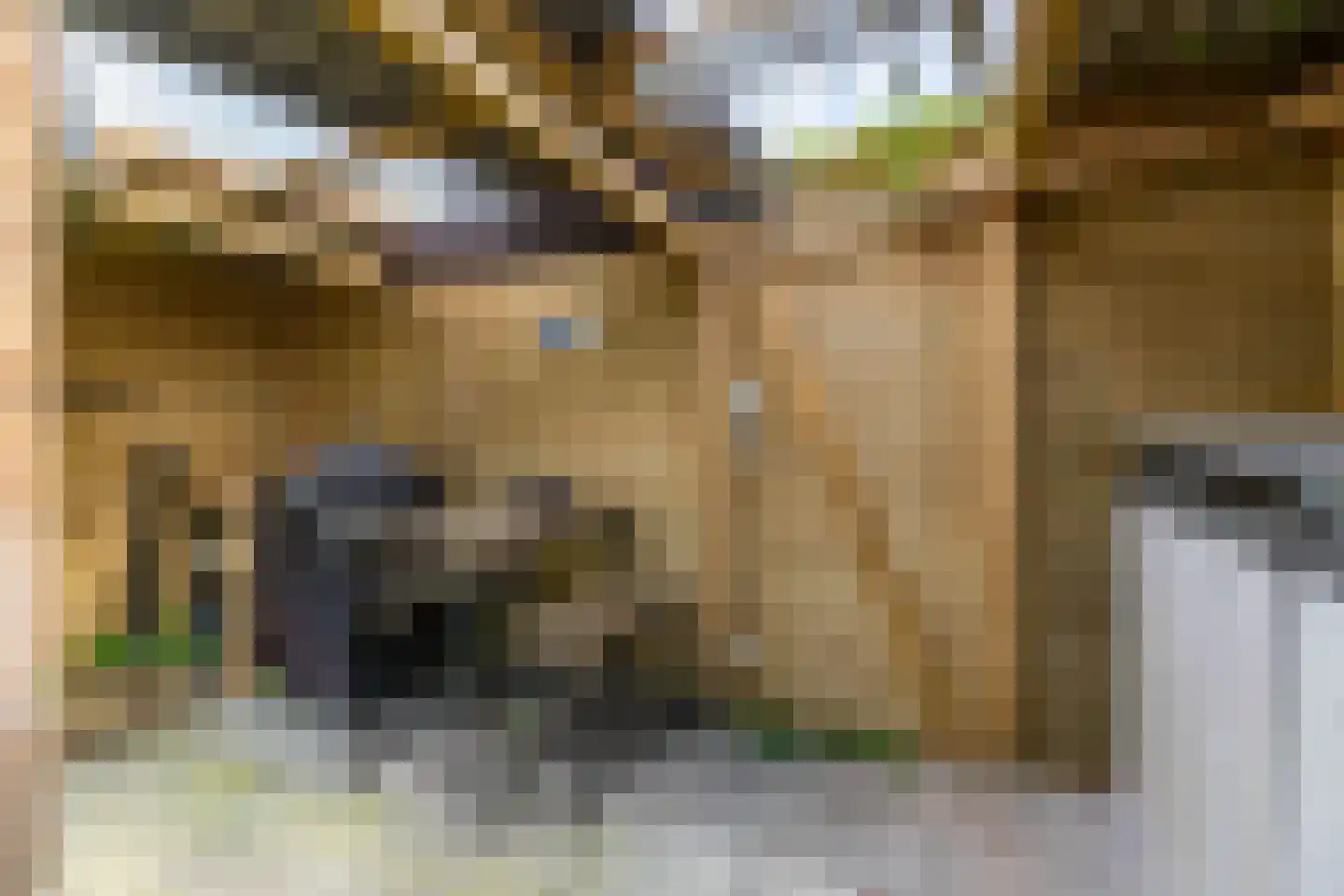 Het Want 64 Groningen thumbnail 25