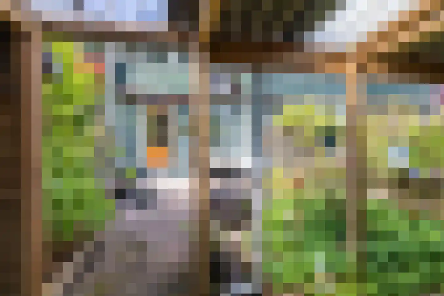 Het Want 64 Groningen thumbnail 26