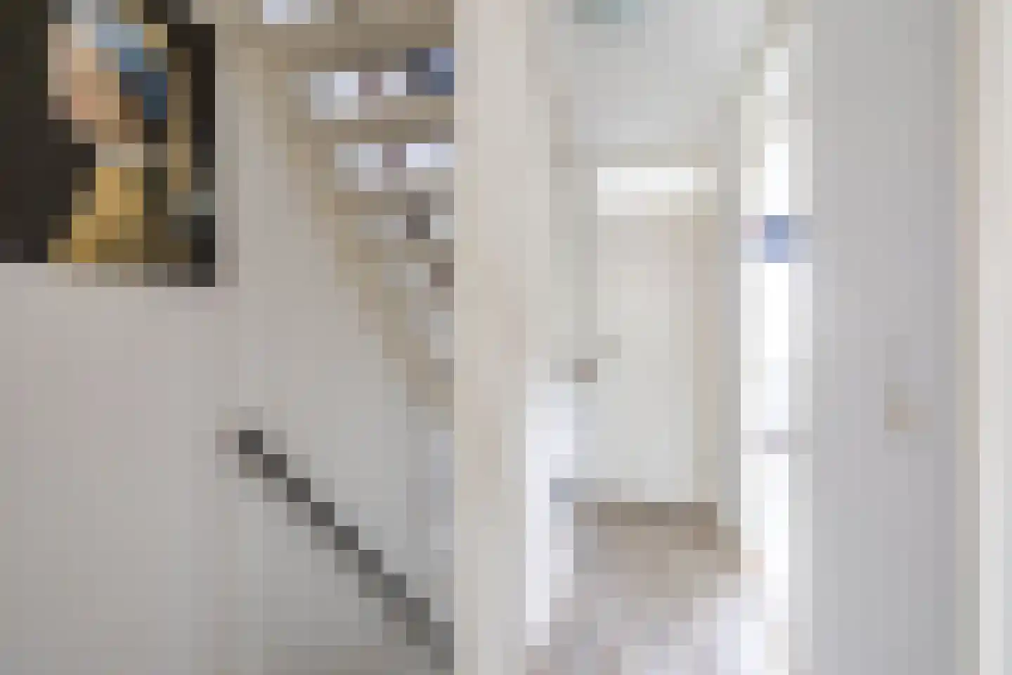 Het Want 64 Groningen thumbnail 36