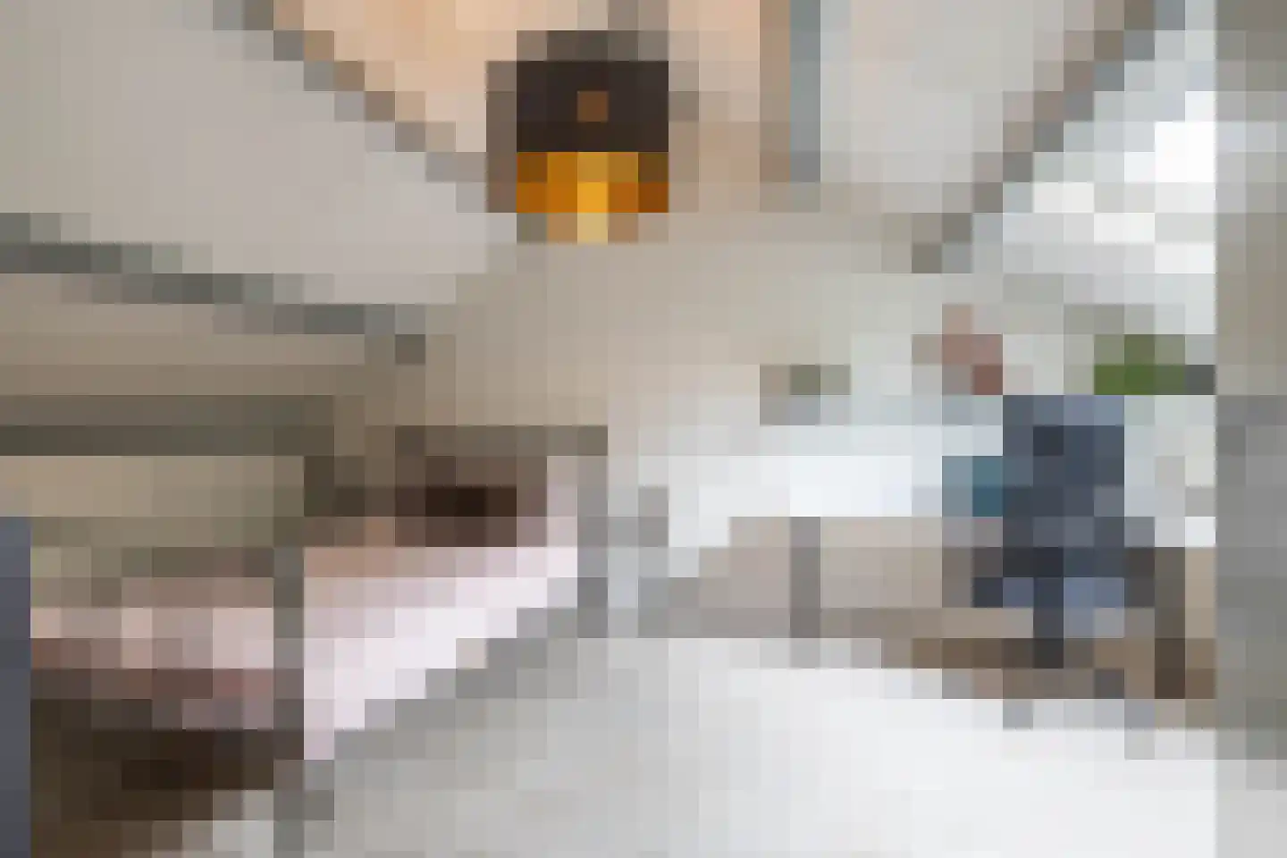 Het Want 64 Groningen thumbnail 4