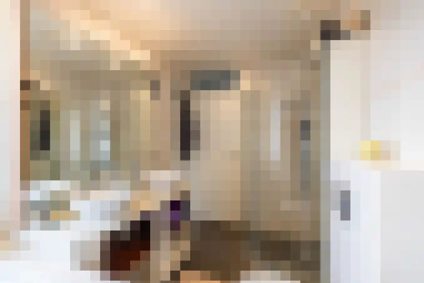 Het Want 64 Groningen thumbnail 43