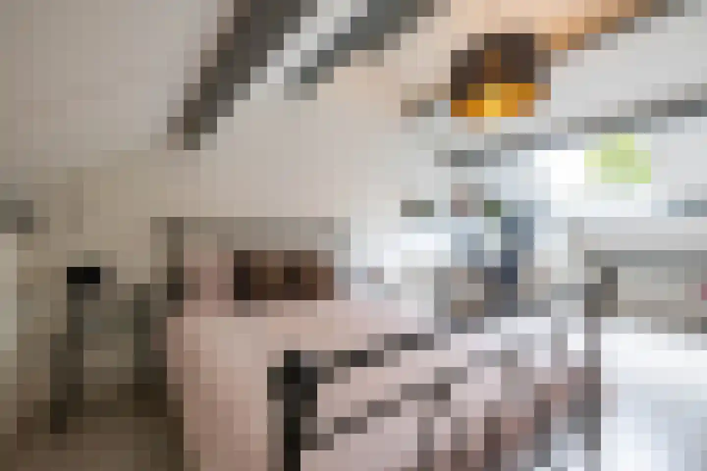 Het Want 64 Groningen thumbnail 46