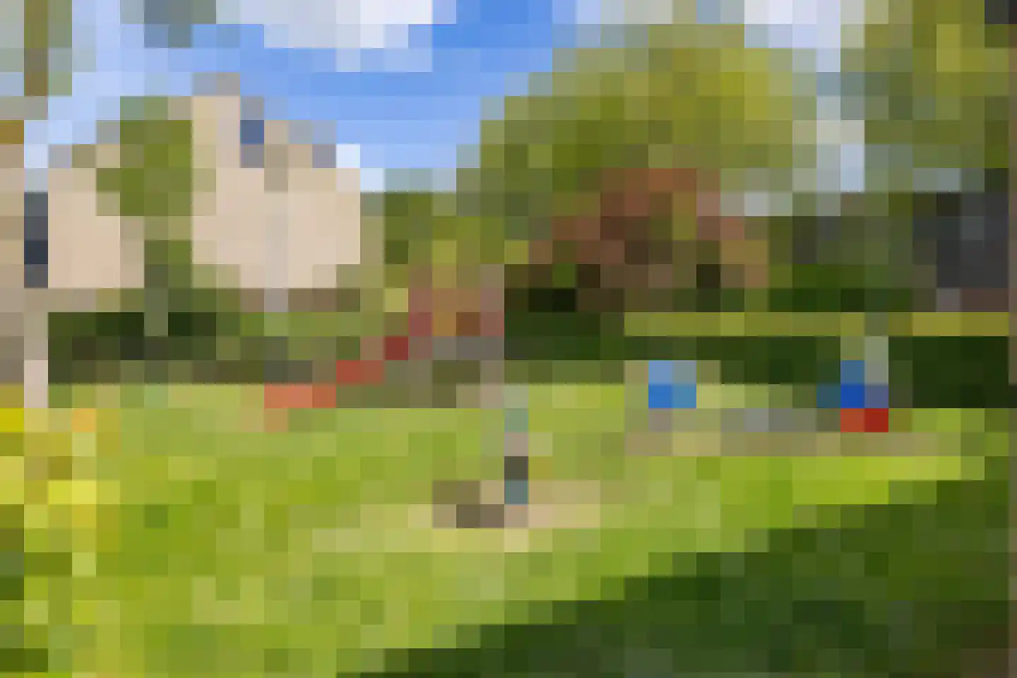 Het Want 64 Groningen thumbnail 50