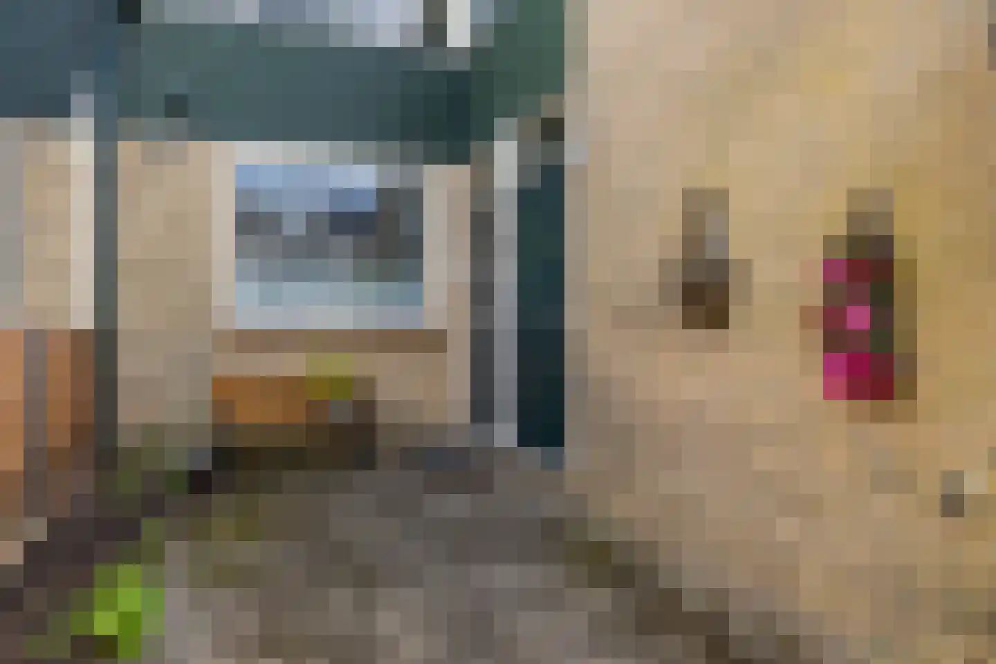 Het Want 64 Groningen thumbnail 7