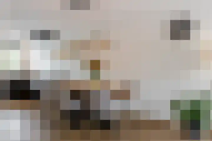 Het Wapenschild 11 Bergambacht thumbnail 10