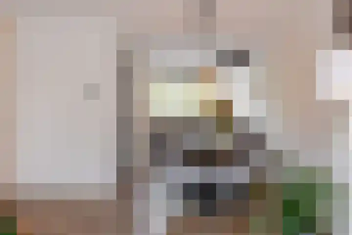 Het Wapenschild 11 Bergambacht thumbnail 11