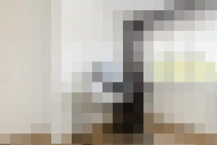 Het Wapenschild 11 Bergambacht thumbnail 24