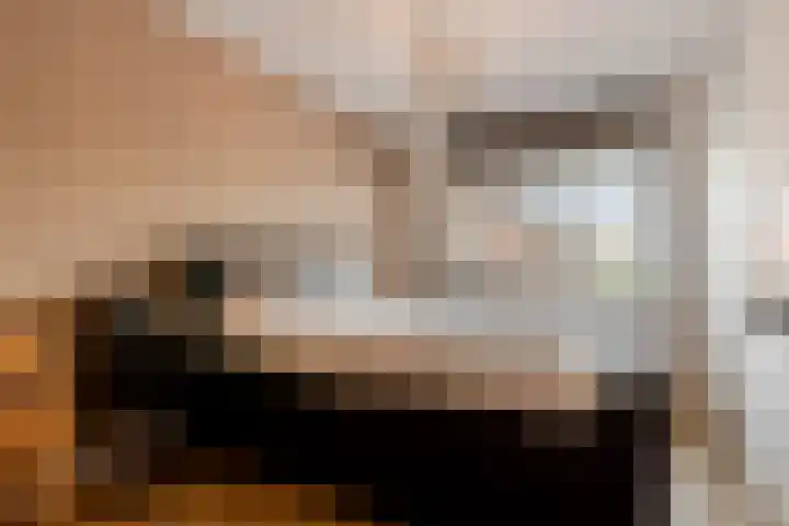 Het Wapenschild 11 Bergambacht thumbnail 26
