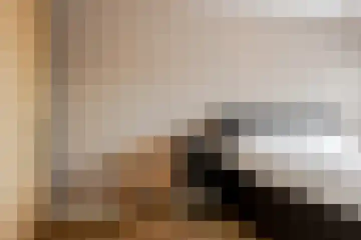 Het Wapenschild 11 Bergambacht thumbnail 27