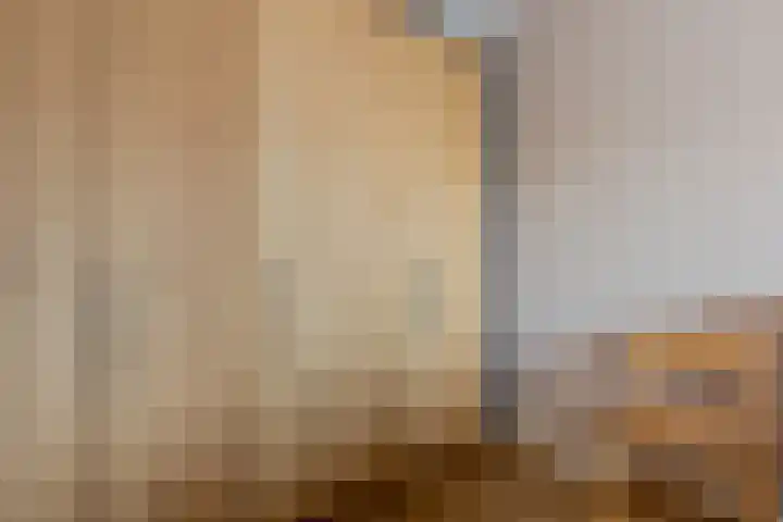 Het Wapenschild 11 Bergambacht thumbnail 29