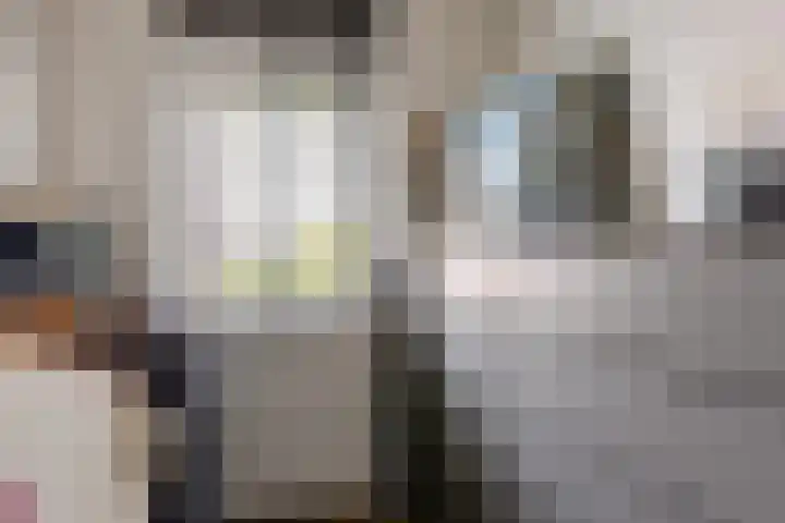 Het Wapenschild 11 Bergambacht thumbnail 30