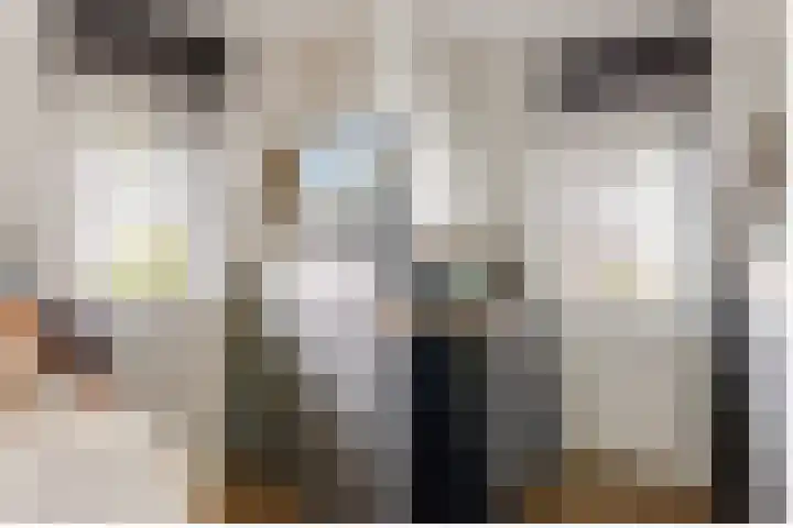 Het Wapenschild 11 Bergambacht thumbnail 31