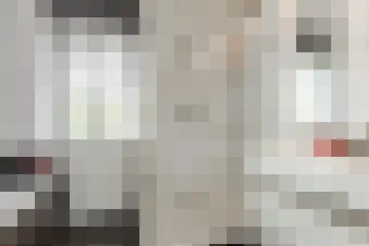 Het Wapenschild 11 Bergambacht thumbnail 32