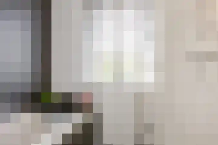 Het Wapenschild 11 Bergambacht thumbnail 33