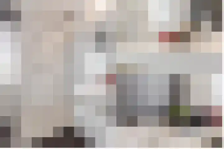 Het Wapenschild 11 Bergambacht thumbnail 34