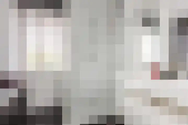 Het Wapenschild 11 Bergambacht thumbnail 38