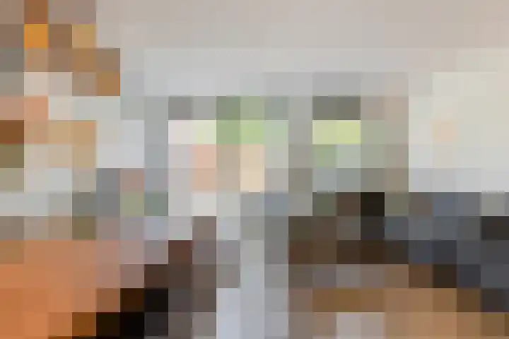 Het Wapenschild 11 Bergambacht thumbnail 4