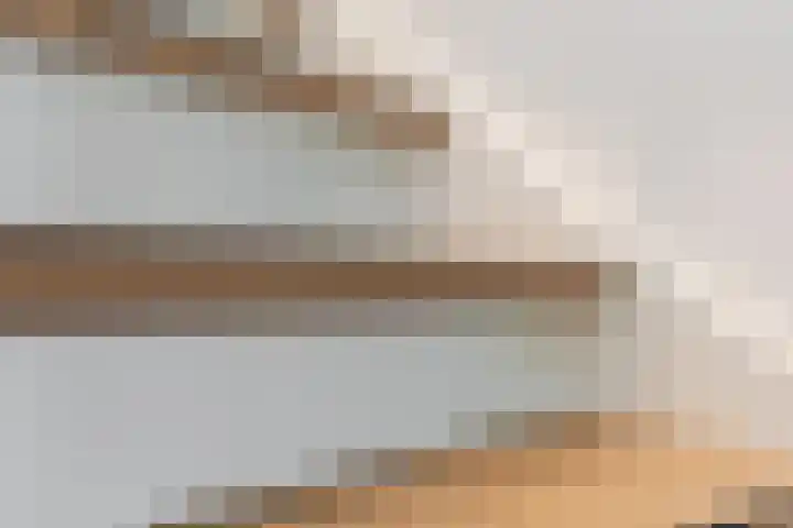 Het Wapenschild 11 Bergambacht thumbnail 40
