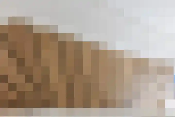 Het Wapenschild 11 Bergambacht thumbnail 41