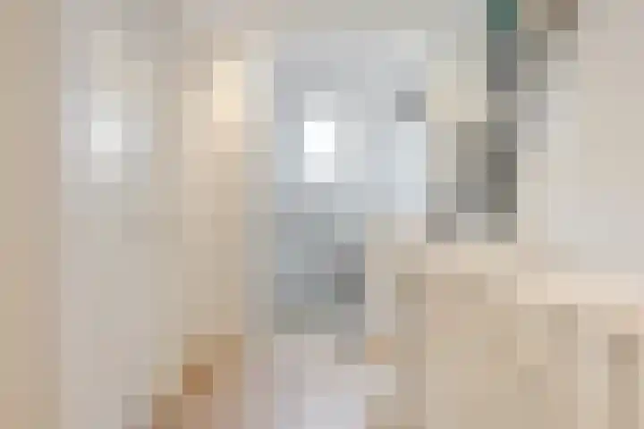Het Wapenschild 11 Bergambacht thumbnail 42