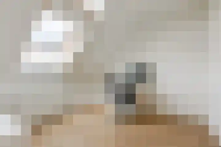 Het Wapenschild 11 Bergambacht thumbnail 44