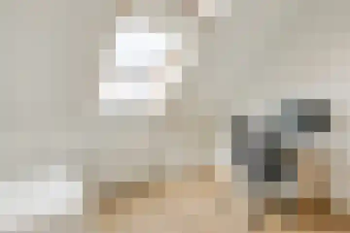 Het Wapenschild 11 Bergambacht thumbnail 45