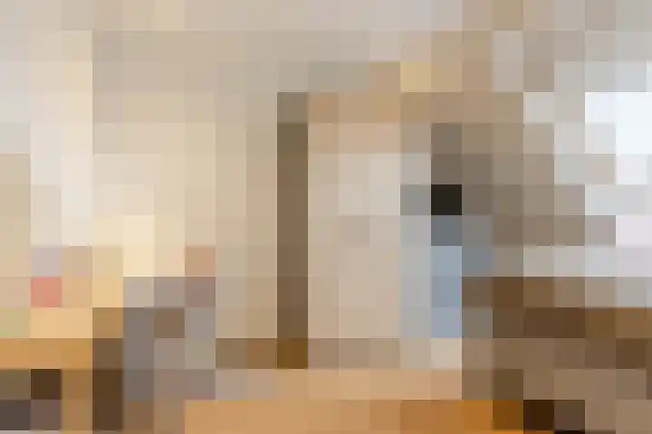 Het Wapenschild 11 Bergambacht thumbnail 47
