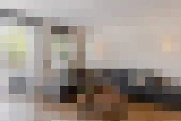 Het Wapenschild 11 Bergambacht thumbnail 5