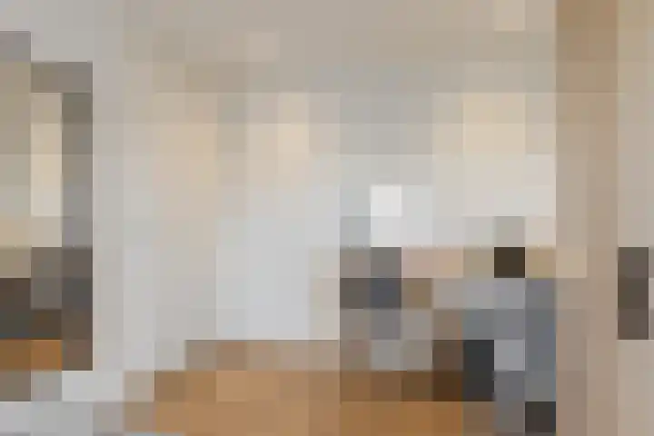 Het Wapenschild 11 Bergambacht thumbnail 50