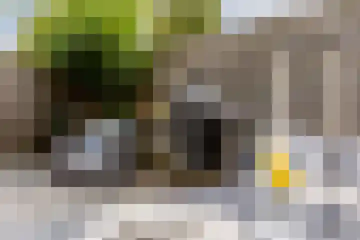 Het Wapenschild 11 Bergambacht thumbnail 55