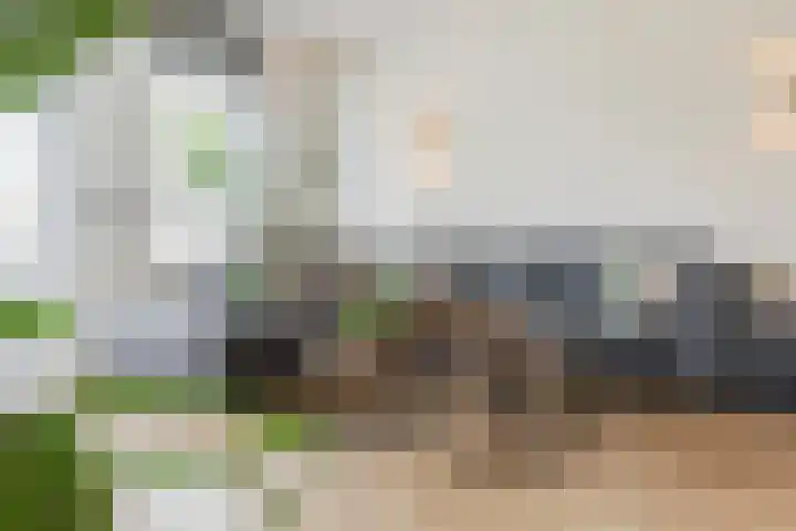 Het Wapenschild 11 Bergambacht thumbnail 6