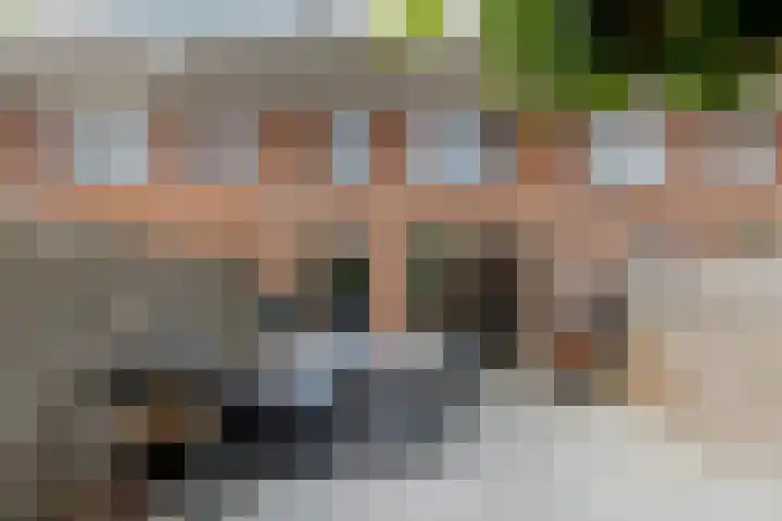 Het Wapenschild 11 Bergambacht thumbnail 61