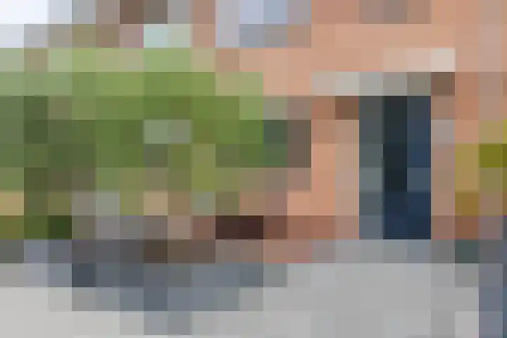 Het Wapenschild 11 Bergambacht thumbnail 64