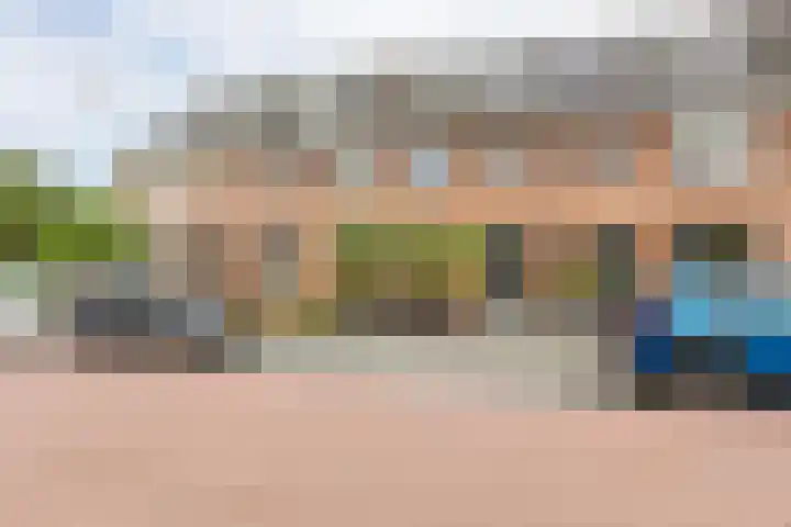 Het Wapenschild 11 Bergambacht thumbnail 68
