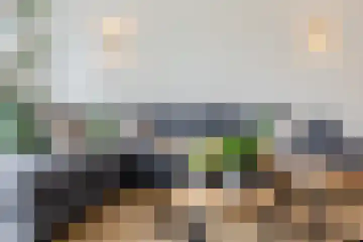 Het Wapenschild 11 Bergambacht thumbnail 7