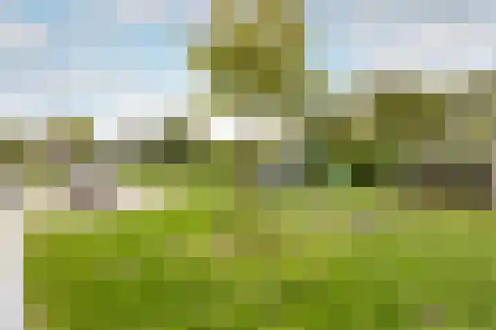 Het Wapenschild 11 Bergambacht thumbnail 70